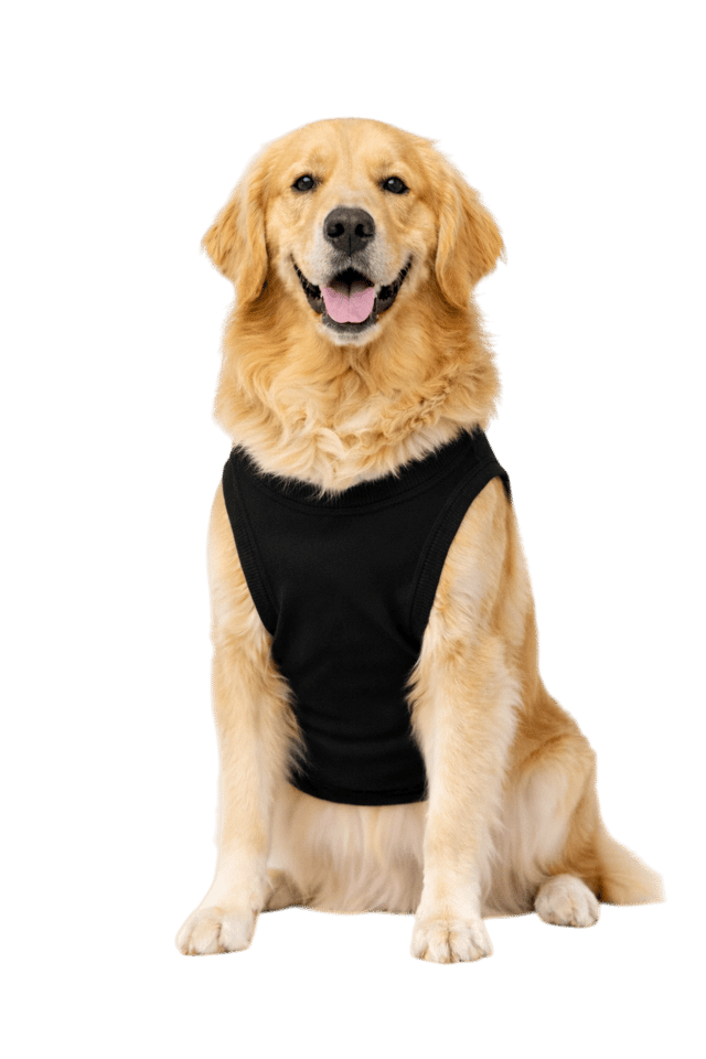 Roupa PET personalizada com a estampa da sua marca, produzida pela Gubo